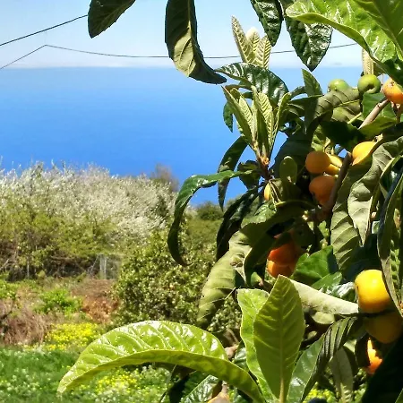 Kır Evi Suerteluna