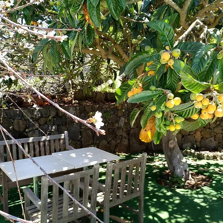Suerteluna Kır Evi *
